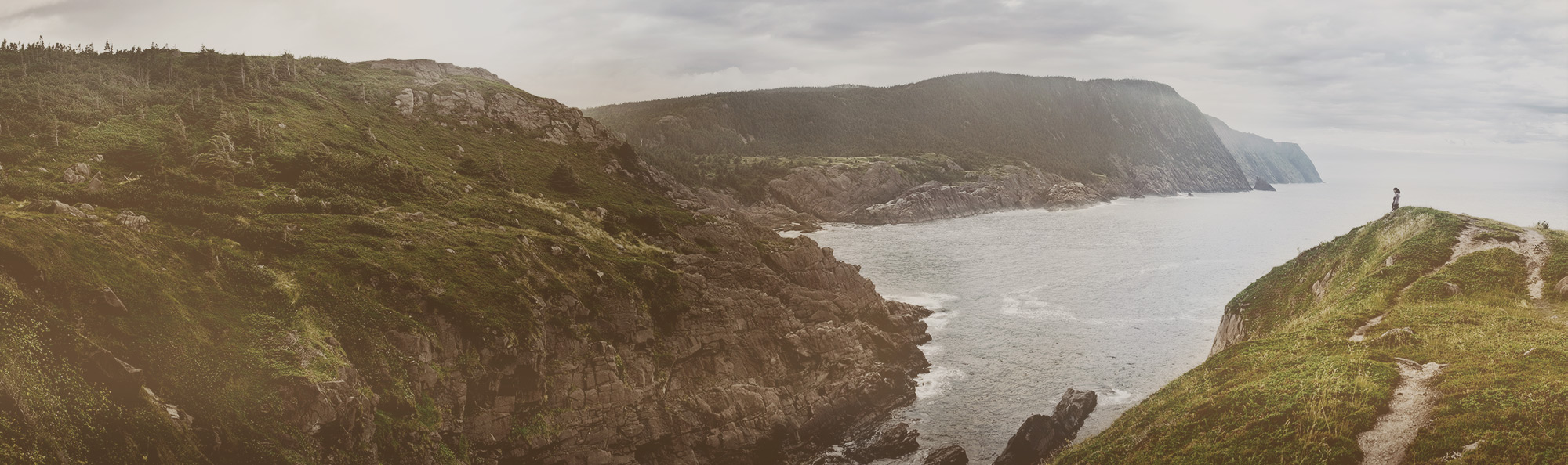 banner02